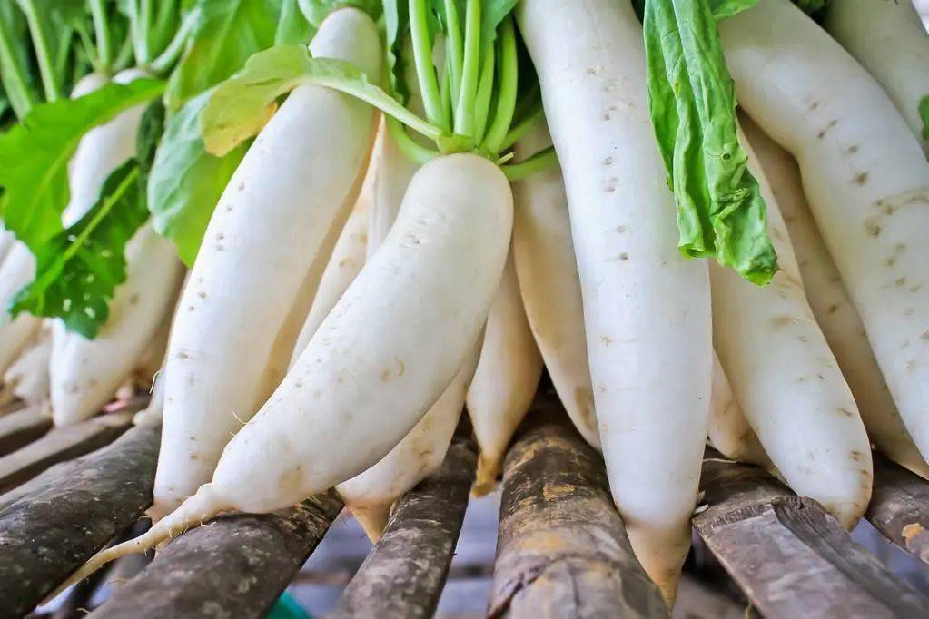 蔬菜配送公司承包食堂的優(yōu)勢(shì)。